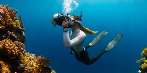 A person in scuba gear taking a picture of coral AI-generated content may be incorrect.