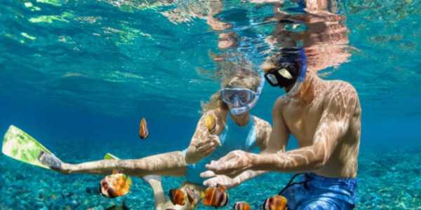 Snorkelling In Bali For Beginners: Best Spots & Tours