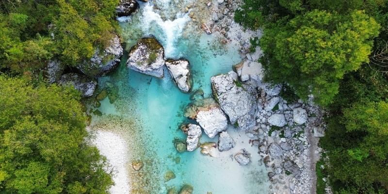 Why A Half-Day Mushroom Foraging Tour In Slovenia’s Forests Is Popular